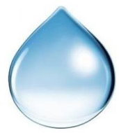 EKOKOZA Rice protein hydrolysed - Preservatives and Active Ingredients