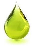 EKOKOZA Calcium 2 (elastin booster) - Preservatives and Active Ingredients