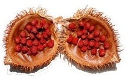 EKOKOZA Urucum powder - Cosmetic Ingredients - Main image