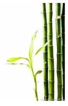 EKOKOZA Bamboo powder, 10g - Cosmetic Powder - Main image