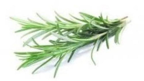 EKOKOZA CO2 extract rosemary BIO - Plant Extract - Main image