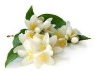 EKOKOZA Monoi de Tahiti, 100g - Rostlinný olej