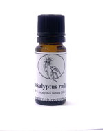 NATURE-STORE Essential oil eucalyptus radiata bio 10 ml - Essential Oil