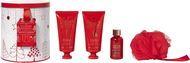 GRACE COLE Body care gift set in a tin - Wild Figs & Cranberries, 4pcs - Cosmetic Gift Set