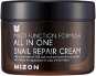 MIZON All In One Snail Repair Cream 120 ml - Arckrém
