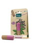 KNEIPP Elderberry Lip Balm 4.7g - Lip Balm