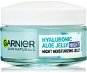 GARNIER Skin Naturals Hyaluronic Aloe Jelly Night 50 ml - Pleťový krém