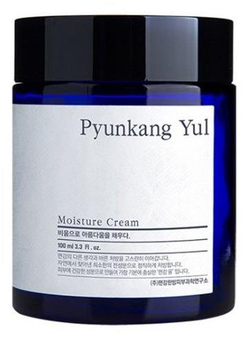 PYUNKANG YUL Moisture Cream 100 ml - Face Cream - Main image