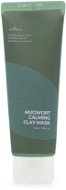 ISNTREE Mugwort Clay Mask 100 ml - Arcpakolás