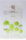 Centella Asiatica Calming Mask 25 ml