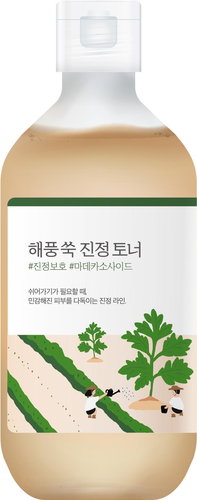ROUND LAB Mugwort Toner 300 ml - Face Tonic - Main image