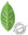 Green Tea Solution Mask Pack 25 g