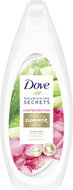 DOVE Smoothing Summer Ritual Aloe Vera + Rose Water Body Wash 250ml - Shower Gel
