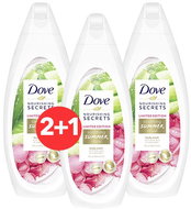 DOVE Smoothing Summer Ritual Aloe Vera + Rose Water Body Wash 250ml 2 + 1 - Shower Gel