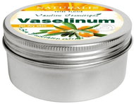 NATURALIS Vaseline Sea Buckthorn Extract 100g - Body Cream