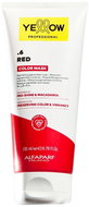 ALFAPARF MILANO YE colour Care Refr. Mask 6 200 ml - Hair Dye