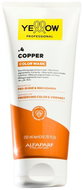 ALFAPARF MILANO YE colour Care Refr. Mask 4 200 ml - Hair Dye