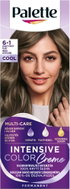 SCHWARZKOPF PALETTE ICC 6-1 Ashy Dark Blonde CEE2 - Hair Dye