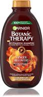 Šampon GARNIER Botanic Therapy Ginger Recovery Shampoo 400 ml  - Šampon