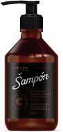 CURAPIL MEN Šampón 200 ml - Pánsky šampón