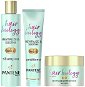 PANTENE Hair Biology Balance Set 570ml - Shampoo