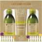 LITTLE GREEN Lice Guard System Box set of products for prevention against all - Haircare Set