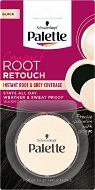 SCHWARZKOPF PALETTE Root Retouch Black 3 g - Hair Dye