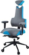 Therapia iENERGY L 6650 gray / St. Blue - Office Chair