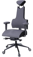 Therapia iENERGY L 6650 gray / black - Office Chair