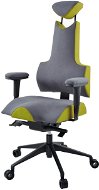 Therapia iENERGY L 6650 gray / tm. green - Office Chair