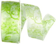 GOLDINA Taffeta ribbon MAGNOLIA GREEN transparent green 8857 - Ribbon