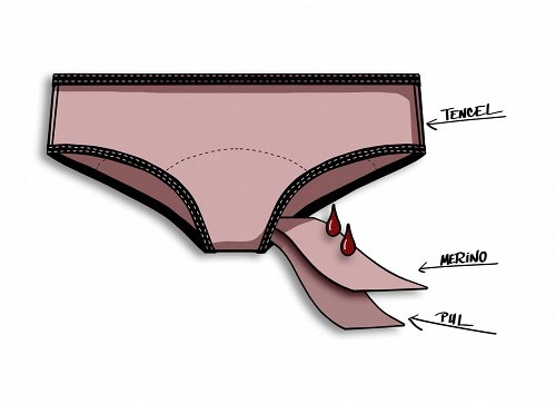 Venus repetitions for medium menstruation - Menstruation Underwear
