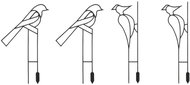 Slat Plant support UH 45 cm, birds, 4 pcs - Plant Support