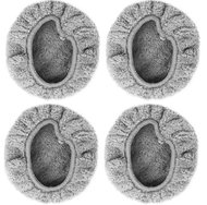 AERIUM Replacement mopping cloth for Dewis R480, 2 pairs - Replacement Mop