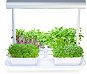Microgreens by Leaf Learn Mini - Smart Flower Pot