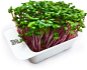 Microgreens by Leaf Learn radish - Seedling Planter