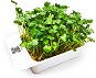 Microgreens by Leaf Learn daikon - Seedling Planter