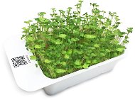 Microgreens by Leaf Learn broccoli - Seedling Planter