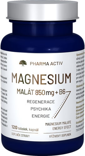 Pharma Activ Magnesium Malát 850mg + B6 120 tobolek - Magnesium - Main image