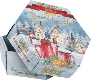 Biogena Winter Magic, 6 × 10 pcs, 136g - Tea - Main image