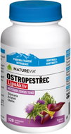 NatureVia Ostropestřec LipoAktiv 120 kapslí - Milk Thistle