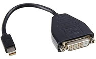 Lenovo LENOVO MINI DP TO DVI CABLE - Video Cable