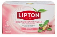 Lipton Gut Health Biotin 17 × 1.9g - Tea