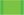 NEON green - pack of 10