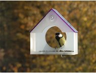 KikiTiki Bird feeder for violet window - Bird Feeder