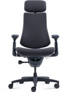 LiberNovo Omni Gen Graphite 48 cm - Office Chair