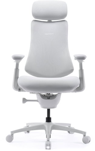 LiberNovo Omni Pro Glacier 48 cm - Office Chair - Main image
