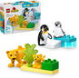 LEGO® DUPLO® 10442 Rodinky divokých zvířat: Tučňáci a lvi - LEGO stavebnice