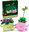 11506 Swinging Plants