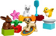 LEGO Duplo 10838 Haustiere - Bausatz